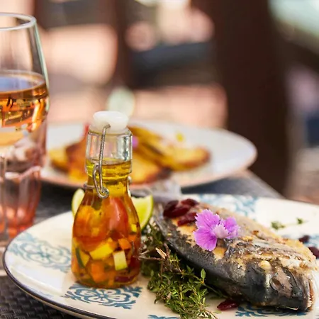 Ibis Thalassa Hotel Hyères