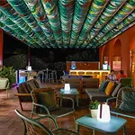 Ibis Thalassa