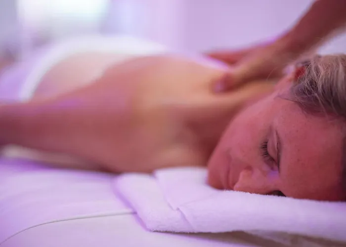 فندق Ibis Thalassa Hyères